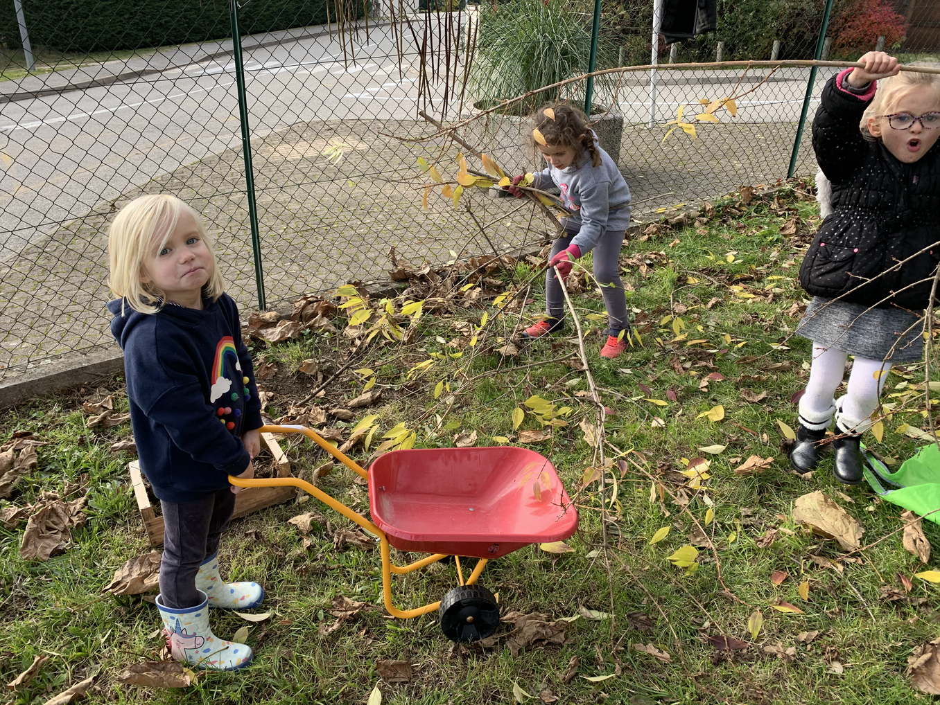 Jardin : lieu de biodiversité - Groupe Scolaire Pierre de Tarentaise