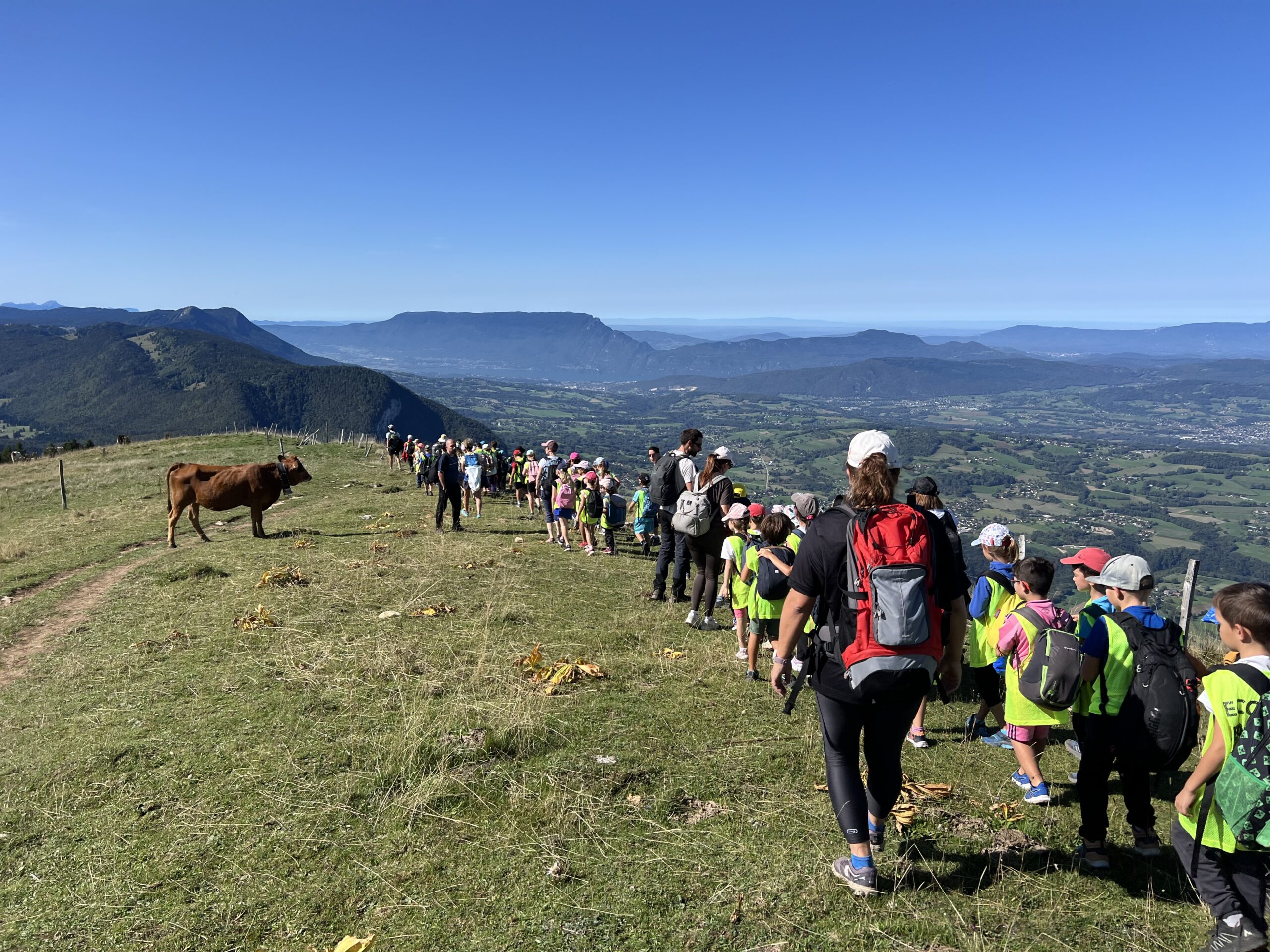 You are currently viewing cohésion au Semnoz