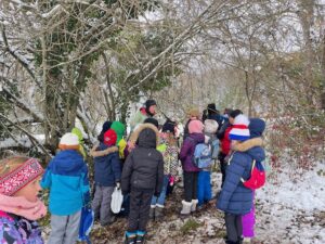 Lire la suite à propos de l’article Sortie nature
