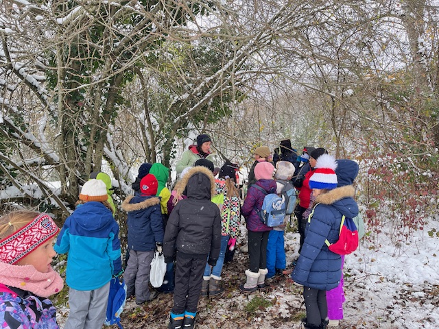 You are currently viewing Sortie nature