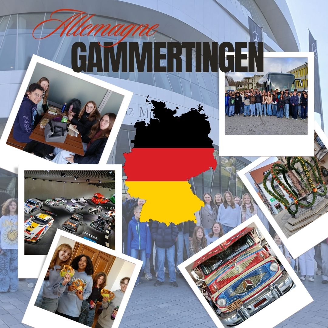 You are currently viewing ALLEMAGNE